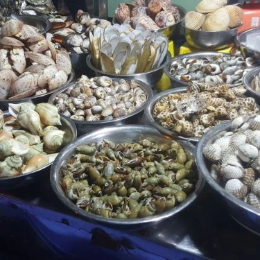 Tổng hợp- Quán Ăn Quán Ốc 2B