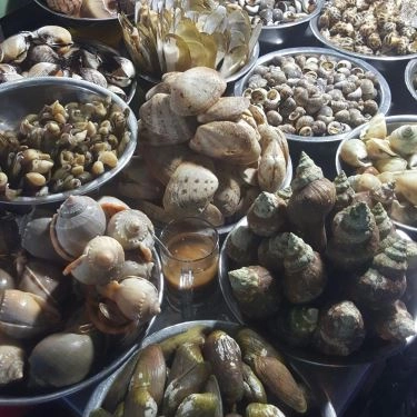 Tổng hợp- Quán Ăn Quán Ốc 2B