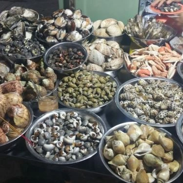 Tổng hợp- Quán Ăn Quán Ốc 2B