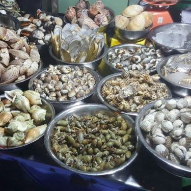 Tổng hợp- Quán Ăn Quán Ốc 2B