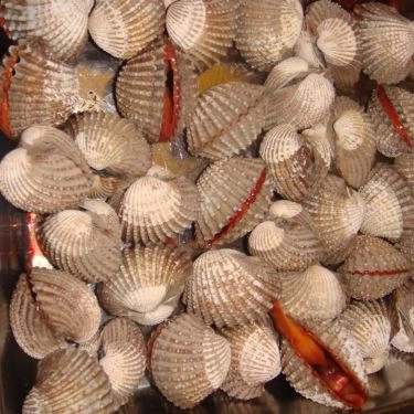 Tổng hợp- Quán Ăn Ốc Bo - Ngô Thị Thu Minh