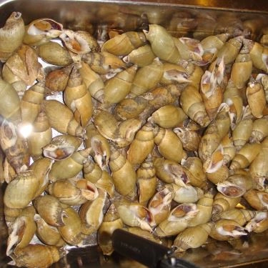 Tổng hợp- Quán Ăn Ốc Bo - Ngô Thị Thu Minh