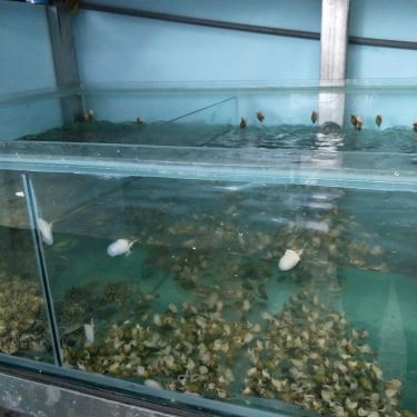 Tổng hợp- Quán Ăn Công Đoàn 2 - Ốc & Hải Sản Tươi Sống