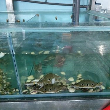 Tổng hợp- Quán Ăn Công Đoàn 2 - Ốc & Hải Sản Tươi Sống