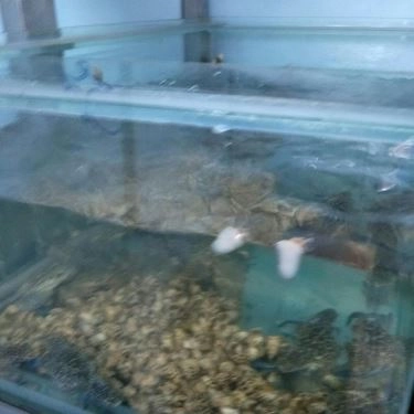 Tổng hợp- Quán Ăn Công Đoàn 2 - Ốc & Hải Sản Tươi Sống