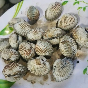 Món ăn- Quán Ăn Quán Ốc Cúc - Vĩnh Khánh