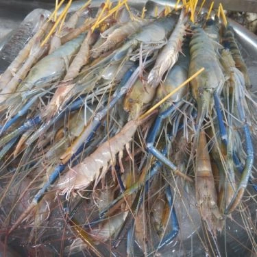 Món ăn- Quán Ăn Quán Ốc Hiền