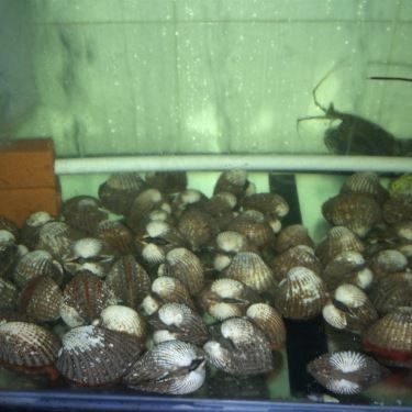 Tổng hợp- Quán Ăn Ốc Lạ - Cách Mạng Tháng 8