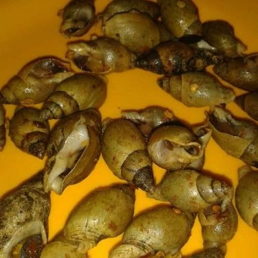 Tổng hợp- Quán Ăn Quán Ốc Luộc - Huỳnh Văn Bánh