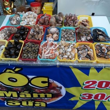 Tổng hợp- Quán Ăn Quán Ốc Mắm Sữa
