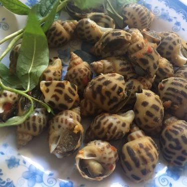 Món ăn- Quán Ăn Quán Ốc Ngọc Loan