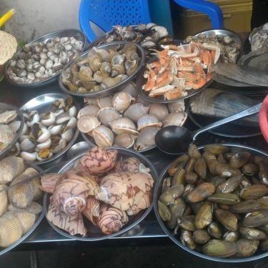 Tổng hợp- Quán Ăn Quán Ốc Ngon - Đất Thánh