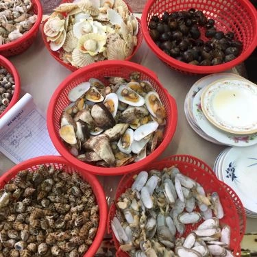 Tổng hợp- Quán Ăn Ốc Sò Quán