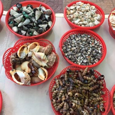 Tổng hợp- Quán Ăn Ốc Sò Quán