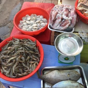 Tổng hợp- Quán Ăn Ốc Sò Quán