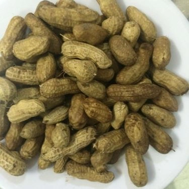 Món ăn- Quán Ăn Quán Ốc Sunny