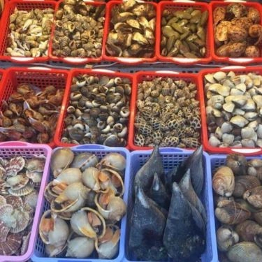 Tổng hợp- Quán Ăn Quán Ốc Tí Đô
