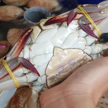 Tổng hợp- Quán Ăn Quán Phố 79 - Hải Sản Tươi Sống