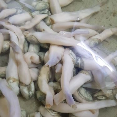Tổng hợp- Quán Ăn Quán Phố 79 - Hải Sản Tươi Sống