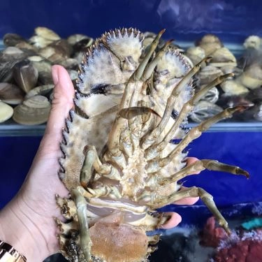 Tổng hợp- Quán Ăn Quán Phố 79 - Hải Sản Tươi Sống