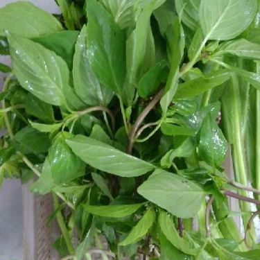 Món ăn- Quán Ăn Quán Phở Bình Minh - Nguyễn Ảnh Thủ