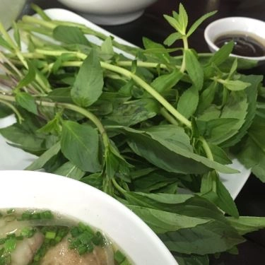 Tổng hợp- Quán Ăn Phở Nam