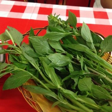 Không gian- Quán Ăn Quán Phương - Phở Gia Truyền, Bún Bò