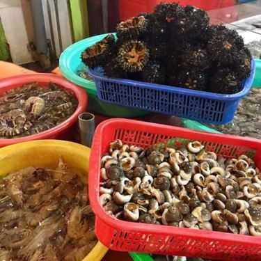 Tổng hợp- Quán Ăn Quán Ra Khơi - Hải Sản Tươi Sống
