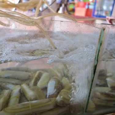 Tổng hợp- Quán Ăn Quán Ra Khơi - Hải Sản Tươi Sống