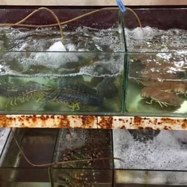 Tổng hợp- Quán Ăn Quán Ra Khơi - Hải Sản Tươi Sống