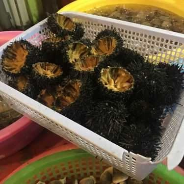 Tổng hợp- Quán Ăn Quán Ra Khơi - Hải Sản Tươi Sống