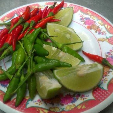 Tổng hợp- Quán Ăn Quán Mì Quảng Sâm
