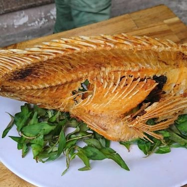 Tổng hợp- Quán Ăn Sáu Hào - Đặc Sản Gỏi Cá