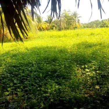Không gian- Quán Sông Hồng - Quán Ăn Gia Đình