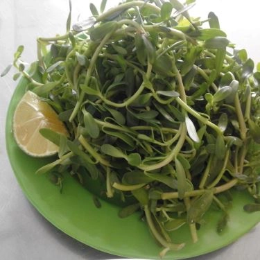 Tổng hợp- Quán Ăn Quán Sông Hương - Bún Bò & Bánh Canh Bột Gạo