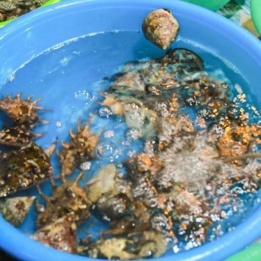 Món ăn- Quán Ăn Quán Tám Mập - Hải Sản Các Loại