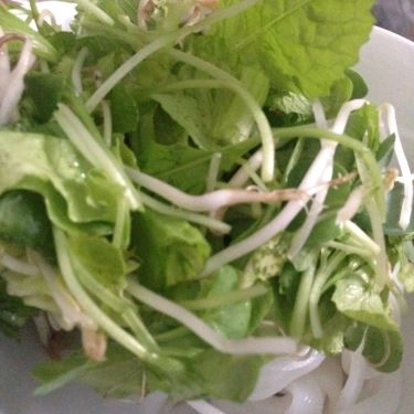 Tổng hợp- Quán Ăn Quán Tâm - Mì Quảng Cá Lóc Đại Lộc