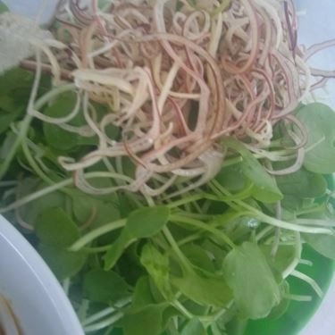 Tổng hợp- Quán Ăn Quán Tâm - Mì Quảng Cá Lóc Đại Lộc