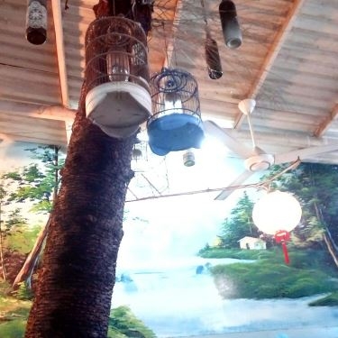 Tổng hợp- Quán Ăn Quán Thèm - Cháo Ếch