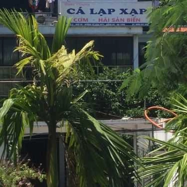 Tổng hợp- Quán Thương - Cá Lạp Xạp