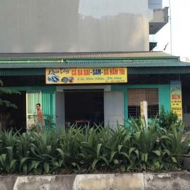 Tổng hợp- Quán Thuỷ - Cá Ba Gai & Sam