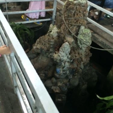 Tổng hợp- Quán Ăn Quán Tre - Lẩu Tôm Càng