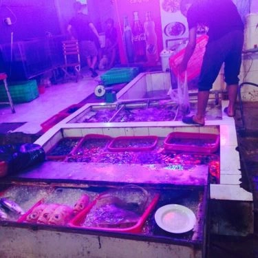 Tổng hợp- Quán Ăn Tư Mập - Hải Sản Tươi Sống