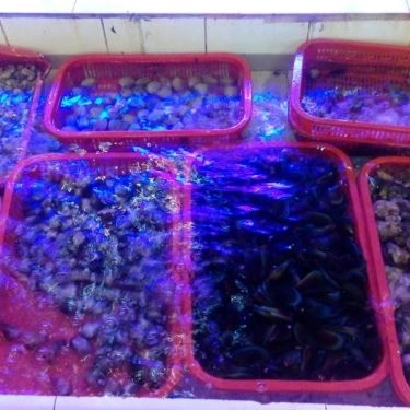 Tổng hợp- Quán Ăn Tư Mập - Hải Sản Tươi Sống