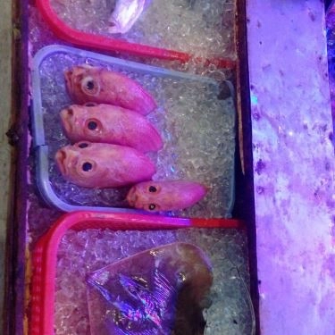 Tổng hợp- Quán Ăn Tư Mập - Hải Sản Tươi Sống