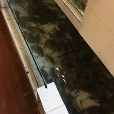 Tổng hợp- Quán Ăn Quán Việt - Gỏi Cá Trích & Các Món Nướng