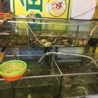 Tổng hợp- Quán Ăn Quán Việt - Gỏi Cá Trích & Các Món Nướng