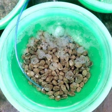Tổng hợp- Quán Ăn Hải Sản Việt Quắn