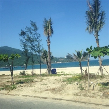 Tổng hợp- Quán Ăn Hải Sản Việt Quắn