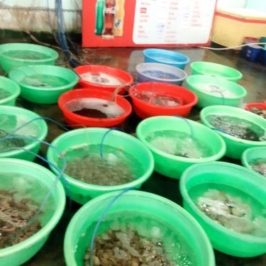 Tổng hợp- Quán Ăn Hải Sản Việt Quắn